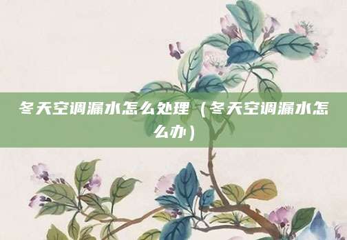冬天空调漏水怎么处理（冬天空调漏水怎么办）