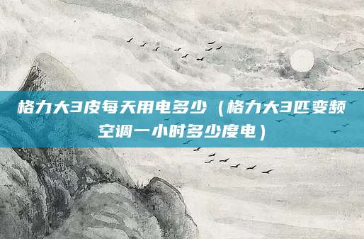格力大3皮每天用电多少（格力大3匹变频空调一小时多少度电）