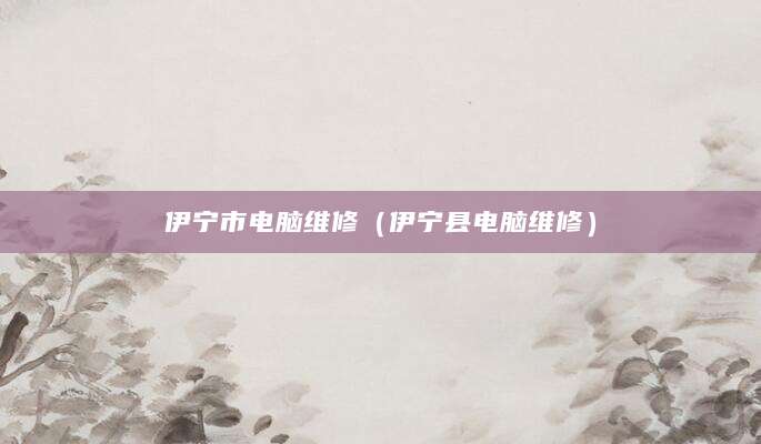 伊宁市电脑维修（伊宁县电脑维修）