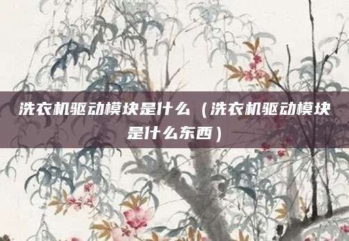 洗衣机驱动模块是什么（洗衣机驱动模块是什么东西）
