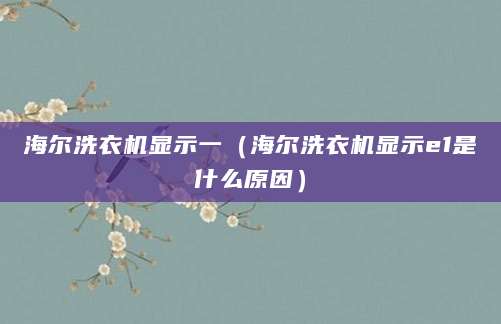 海尔洗衣机显示一（海尔洗衣机显示e1是什么原因）