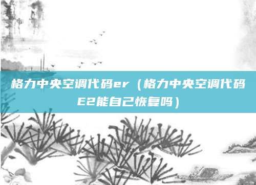格力中央空调代码er（格力中央空调代码E2能自己恢复吗）