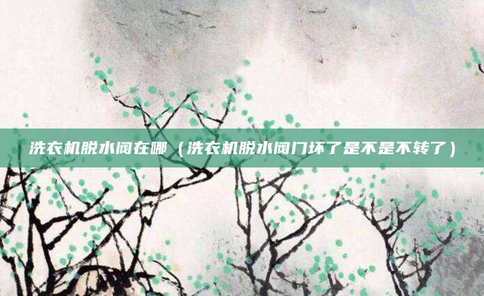 洗衣机脱水阀在哪（洗衣机脱水阀门坏了是不是不转了）