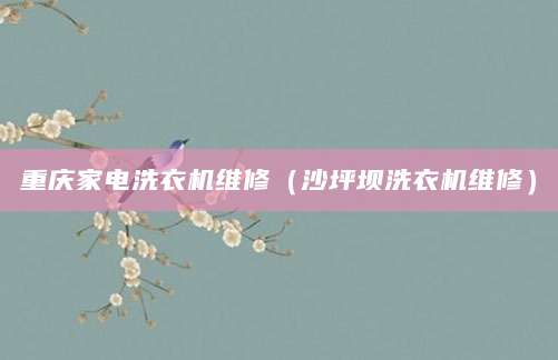 重庆家电洗衣机维修（沙坪坝洗衣机维修）