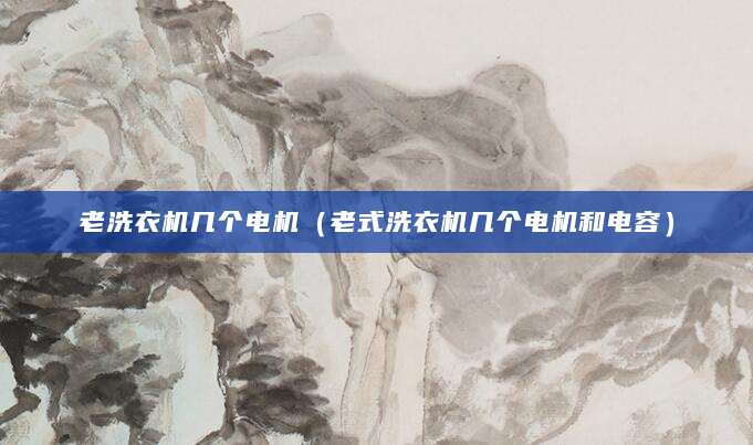 老洗衣机几个电机（老式洗衣机几个电机和电容）