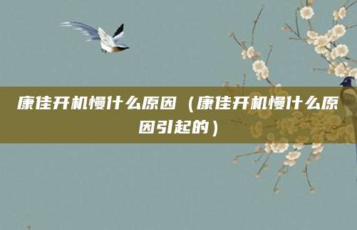 康佳开机慢什么原因（康佳开机慢什么原因引起的）