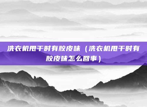 洗衣机甩干时有胶皮味（洗衣机甩干时有胶皮味怎么回事）