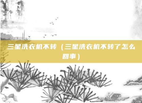 三星洗衣机不转（三星洗衣机不转了怎么回事）