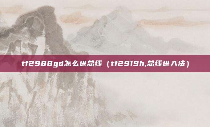 tf2988gd怎么进总线（tf2919h,总线进入法）