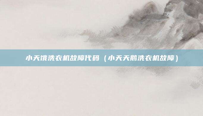 小天饿洗衣机故障代码（小天天鹅洗衣机故障）