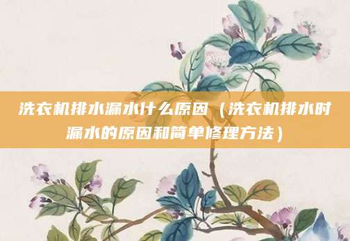 洗衣机排水漏水什么原因（洗衣机排水时漏水的原因和简单修理方法）