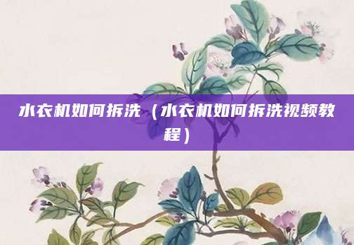 水衣机如何拆洗（水衣机如何拆洗视频教程）