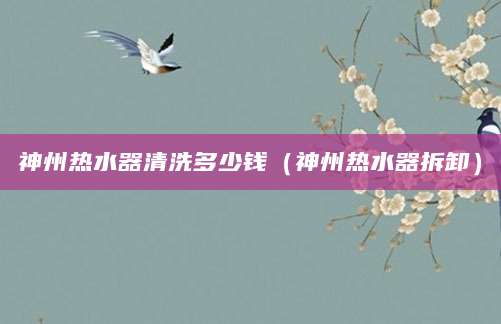 神州热水器清洗多少钱（神州热水器拆卸）