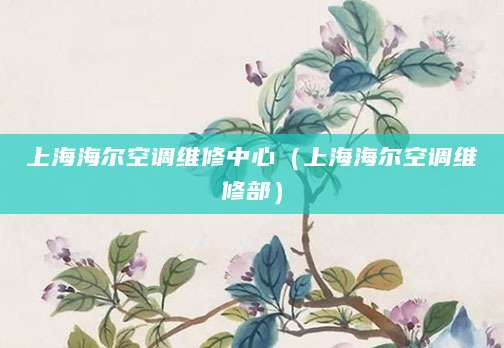 上海海尔空调维修中心（上海海尔空调维修部）
