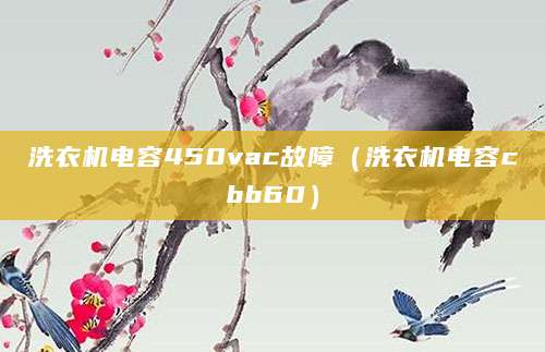 洗衣机电容450vac故障（洗衣机电容cbb60）
