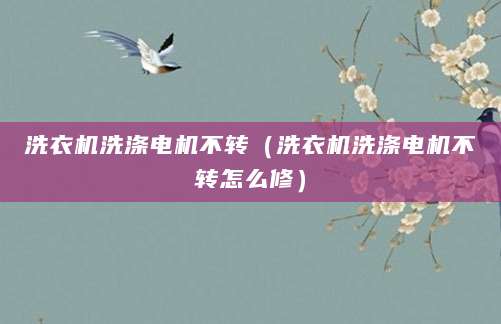 洗衣机洗涤电机不转（洗衣机洗涤电机不转怎么修）