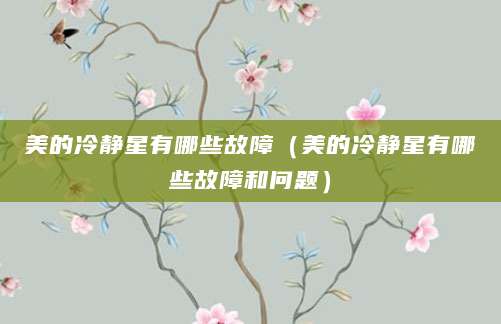 美的冷静星有哪些故障（美的冷静星有哪些故障和问题）