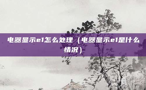 电器显示e1怎么处理（电器显示e1是什么情况）
