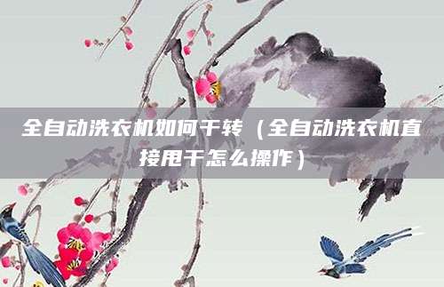 全自动洗衣机如何干转（全自动洗衣机直接甩干怎么操作）