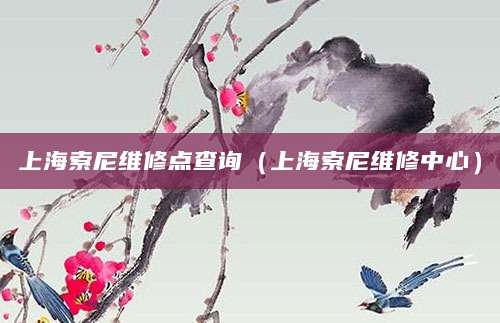 上海索尼维修点查询（上海索尼维修中心）