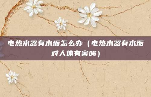 电热水器有水垢怎么办（电热水器有水垢对人体有害吗）