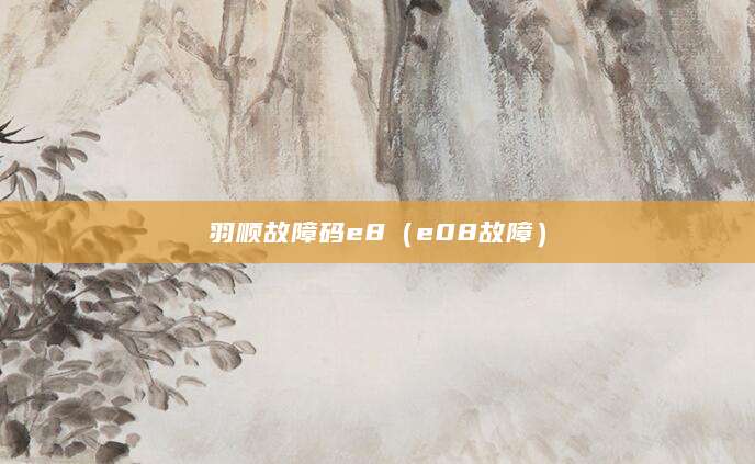 羽顺故障码e8（e08故障）