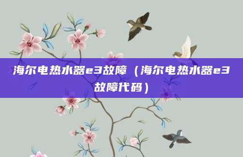 海尔电热水器e3故障（海尔电热水器e3故障代码）