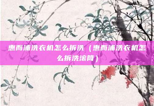 惠而浦洗衣机怎么拆洗（惠而浦洗衣机怎么拆洗滚筒）