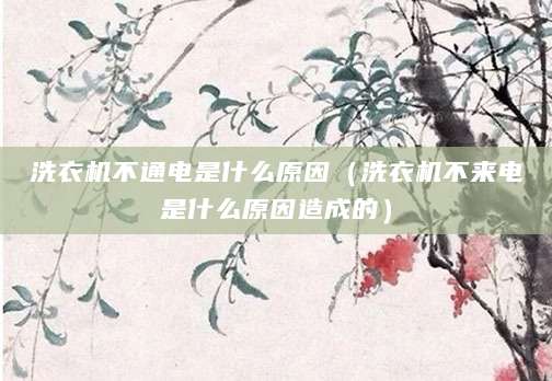 洗衣机不通电是什么原因（洗衣机不来电是什么原因造成的）