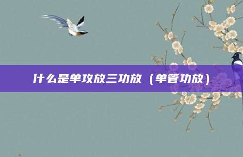 什么是单攻放三功放（单管功放）