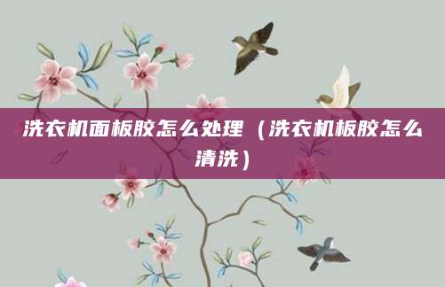 洗衣机面板胶怎么处理（洗衣机板胶怎么清洗）
