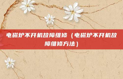 电磁炉不开机故障维修（电磁炉不开机故障维修方法）