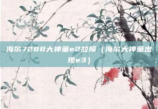 海尔7288大神童e2故障（海尔大神童出现e3）