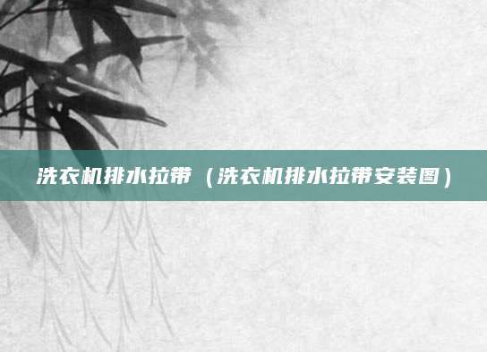 洗衣机排水拉带（洗衣机排水拉带安装图）