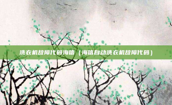 洗衣机故障代码海信（海信自动洗衣机故障代码）