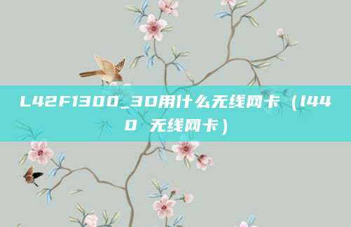 L42F1300_3D用什么无线网卡（l440 无线网卡）
