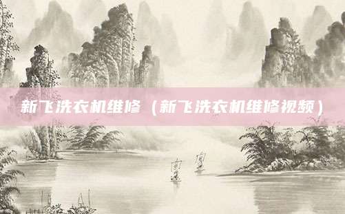 新飞洗衣机维修（新飞洗衣机维修视频）