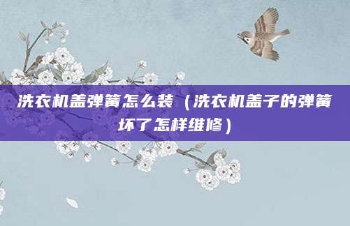 洗衣机盖弹簧怎么装（洗衣机盖子的弹簧坏了怎样维修）