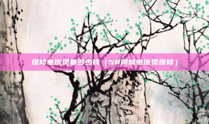 维修电饭煲要多少钱（58同城电饭煲维修）