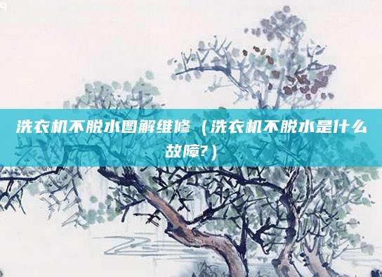 洗衣机不脱水图解维修（洗衣机不脱水是什么故障?）