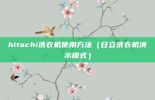 hitachi洗衣机使用方法（日立洗衣机演示模式）