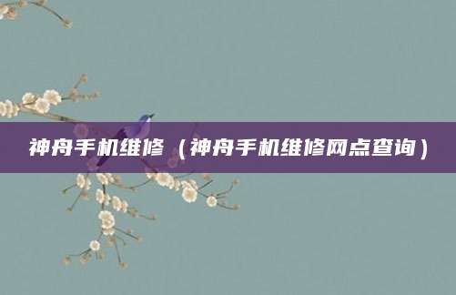 神舟手机维修（神舟手机维修网点查询）