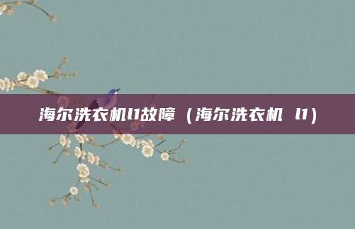 海尔洗衣机l1故障（海尔洗衣机 l1）