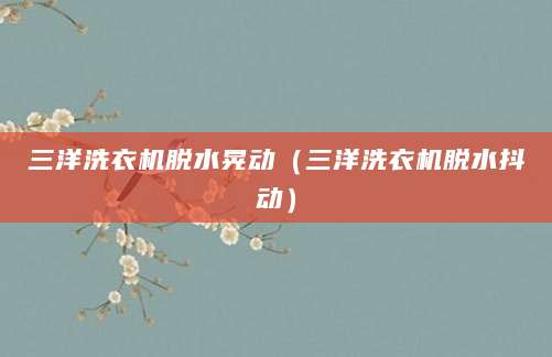 三洋洗衣机脱水晃动（三洋洗衣机脱水抖动）