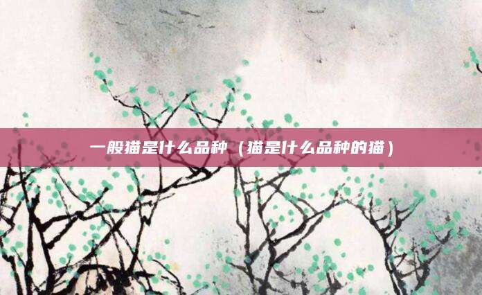 一般猫是什么品种（猫是什么品种的猫）