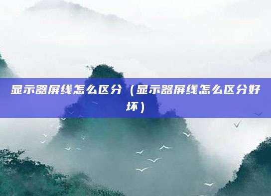 显示器屏线怎么区分（显示器屏线怎么区分好坏）