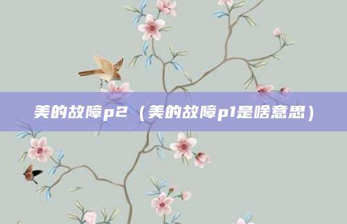 美的故障p2（美的故障p1是啥意思）