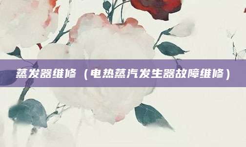 蒸发器维修（电热蒸汽发生器故障维修）