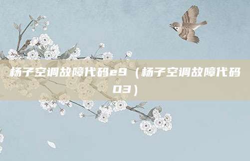 杨子空调故障代码e9（杨子空调故障代码O3）