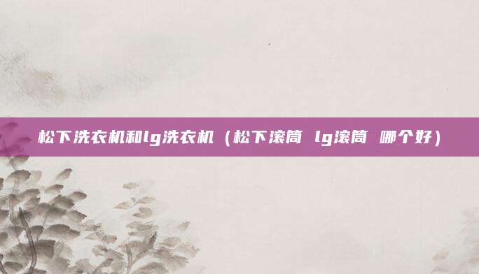 松下洗衣机和lg洗衣机（松下滚筒 lg滚筒 哪个好）